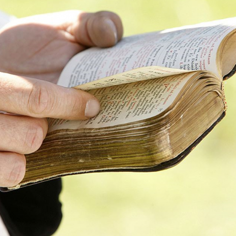 В Библии всё насквозь противоречиво – и это классно!